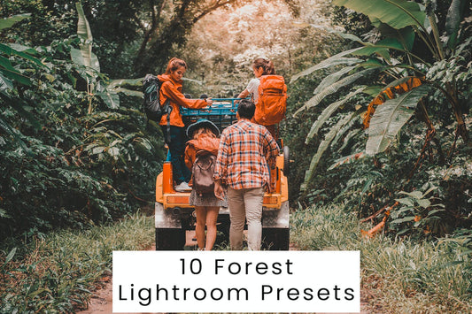 10 Forest Lightroom Presets, Professional & Modern for Photographers and Designers