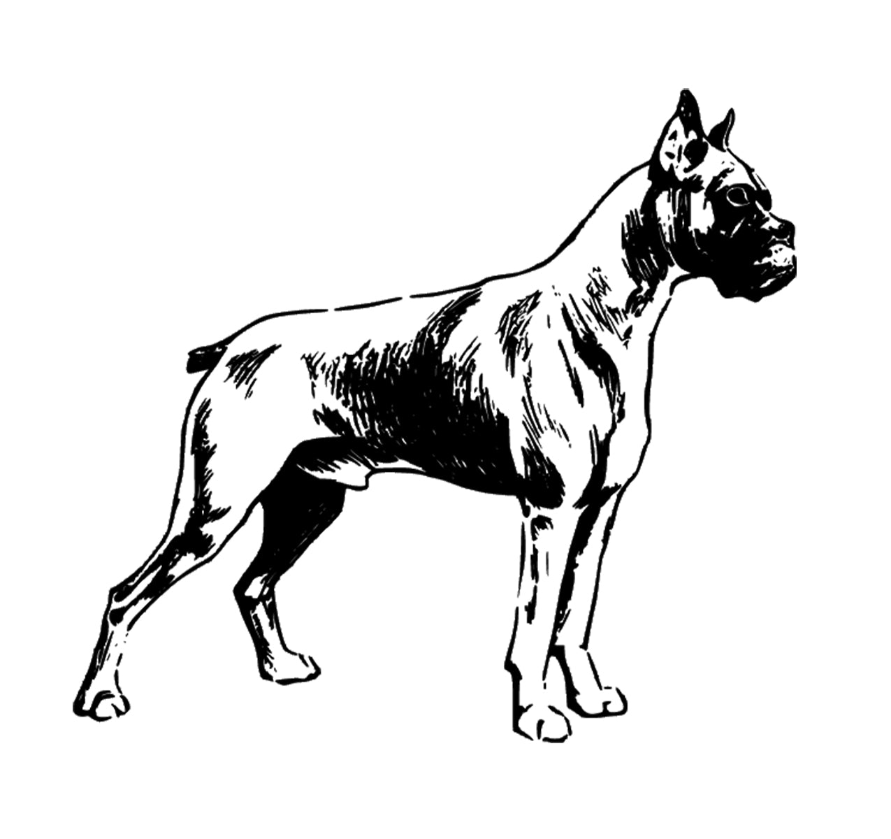 Boxer Svg File - Boxer Dog Clipart - Boxer Dog Cut File - Animals Svg