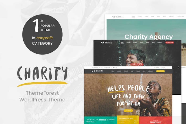 Charity - WordPress Theme