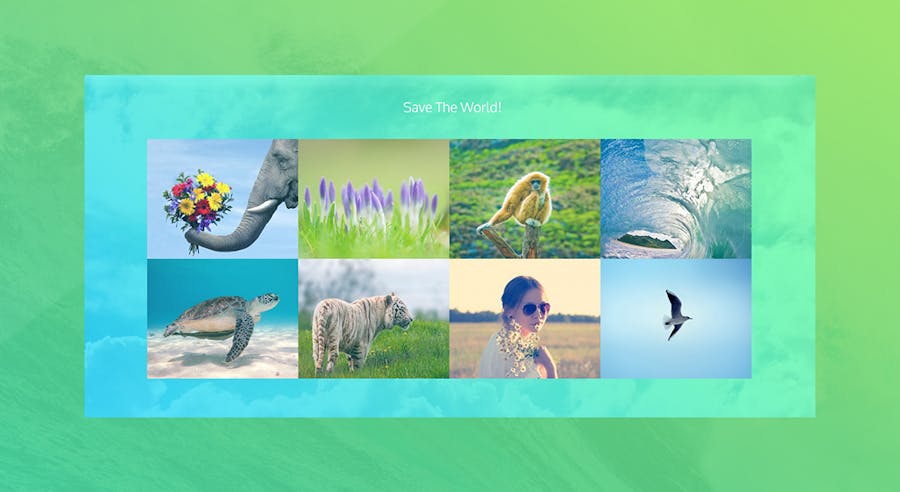 Eco Nature - Environment & Ecology WordPress Theme