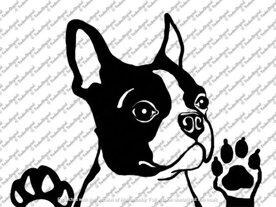 Boston Terrier Svg File - Boston Terrier Clipart - Dog Svg - Dog Cut File - Boston Terrier Vector Graphics  - Svg For Cricut -For Silhouette