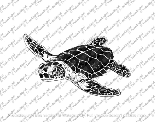 Sea Turtle Svg File - Sea Turtle Clipart - Sea Clipart - Animals Svg - Ocean Svg - Svg For Cricut - Svg For Silhouette - DXF - EPS - PNG