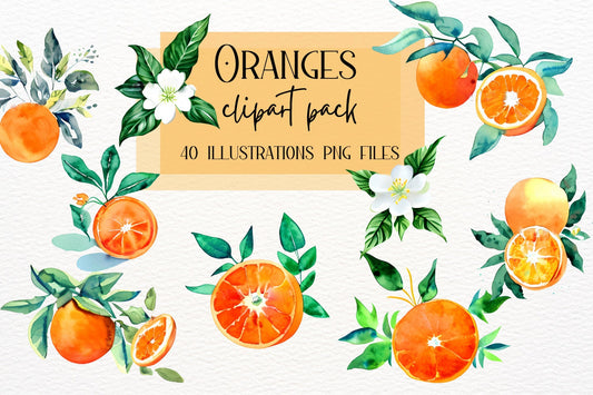 Watercolor Oranges Sublimation, Orange Flowers, Watercolor Tangerine Clipart, Citrus clipart, Citrus Sublimation, Transparent Background