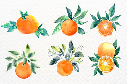 Watercolor Oranges Sublimation, Orange Flowers, Watercolor Tangerine Clipart, Citrus clipart, Citrus Sublimation, Transparent Background