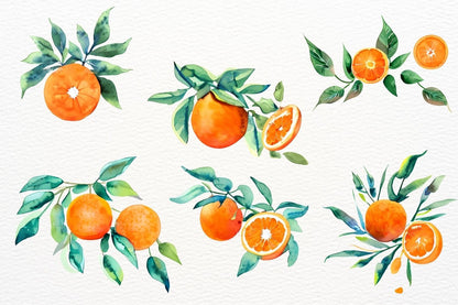 Watercolor Oranges Sublimation, Orange Flowers, Watercolor Tangerine Clipart, Citrus clipart, Citrus Sublimation, Transparent Background